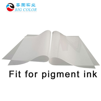 DTF Film 60cm 30cm Roll to Roll para Pigment Printer Transferência de calor Pulver Shake Make Film
